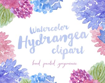 Hydrangea Watercolor Hand Painted Clipart Clip Art - Personal and Commercial Use - hydrangeas garden leaf leaves blue purple pink green