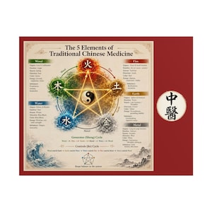 Five Elements of Traditional Chinese Medicine Rolled Poster | TCM Wall Art
