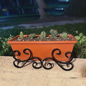 May include: A rectangular orange plastic planter box containing five small cacti planted in soil. The planter is supported by a black metal stand featuring decorative scrollwork and curved wire accents along the front base.