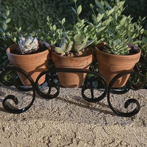 May include: Three terracotta pots containing small green succulents are held in a black metal stand with decorative scrollwork. The pots are arranged in a row, and the stand features curved metal accents at the base and sides for support.