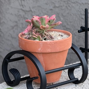 May include: A terracotta clay pot containing a small succulent with pink and green leaves, resting inside a black metal stand featuring curved scrollwork designs on the sides and horizontal bars connecting the frame for support.