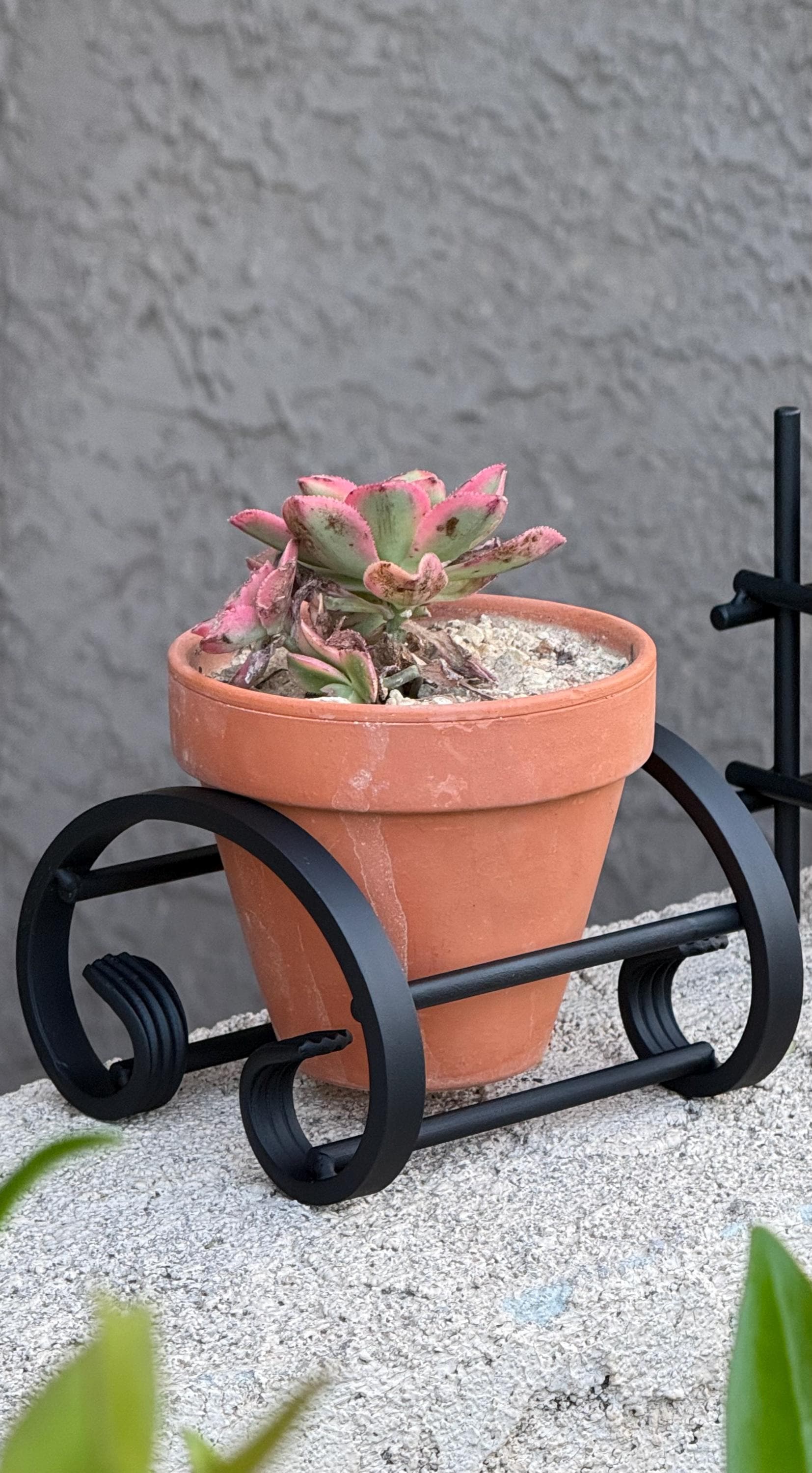 Plant Stands Rod Iron Outdoor - Etsy