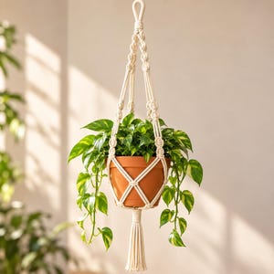 May include: A cream-coloured macrame plant hanger made of knotted cord, featuring a loop at the top and a tassel at the bottom. It holds a terracotta-coloured pot containing a trailing green and yellow pothos plant with heart-shaped leaves.