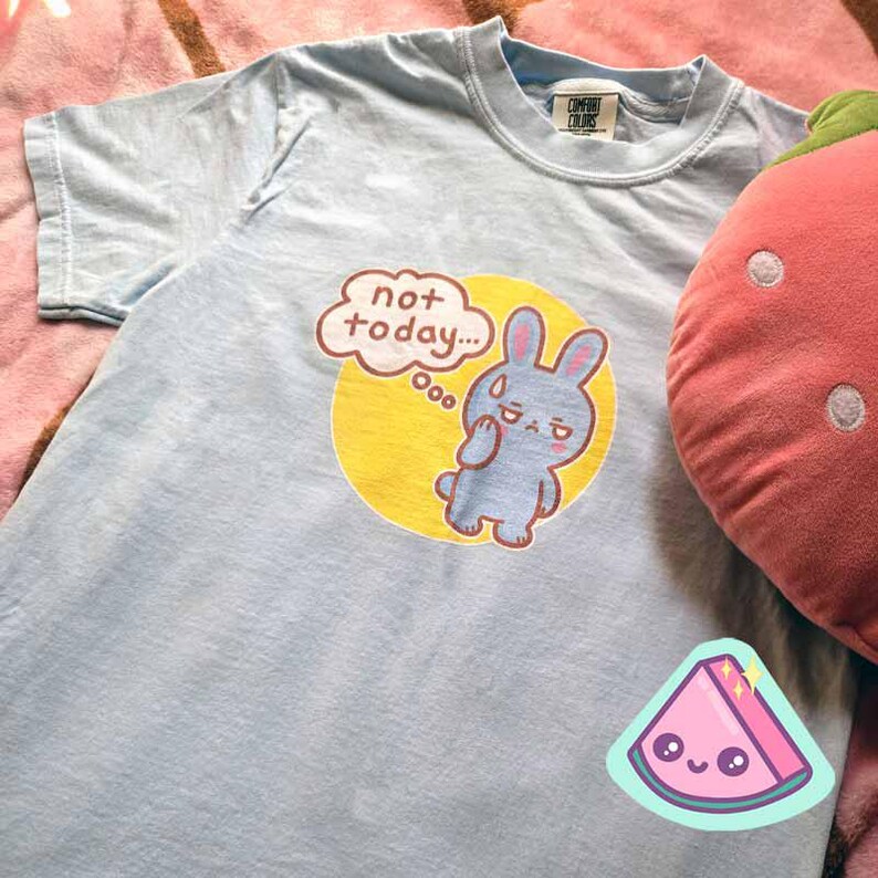 May include: A light blue t-shirt with a graphic of a gray bunny with the text "not today" in a speech bubble. A pink strawberry pillow and a watermelon sticker are also visible.