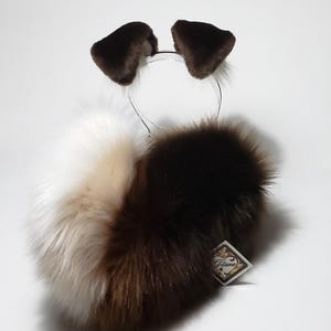 Sassy Stripe Brown,Chocolate,Cafe,Latte, Off White Ears and tail,Puppy Costume,Cosplay,Puppy Tail,Harajuku,Puppy Ear,Shiba,Dog ears,DDLG