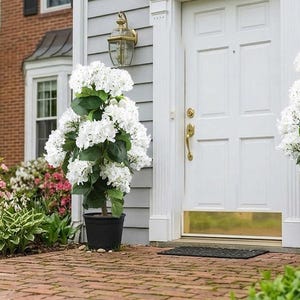 May include: Two potted hydrangea plants with large white blooms flank a white front door. The plants are in black pots and stand on a brick walkway. The house has gray siding and a brass kick plate.