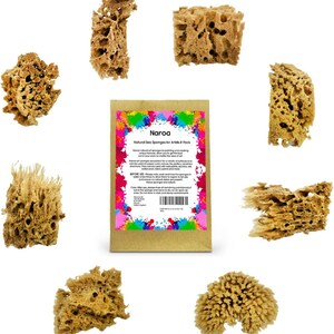 May include: A collection of natural sea sponges in various shapes and sizes, arranged around a package. The sponges are a light brown color and have a porous texture. The package has colorful paint splatters and text that reads "Naroa Natural Sea Sponges for Artists 8 Pack."