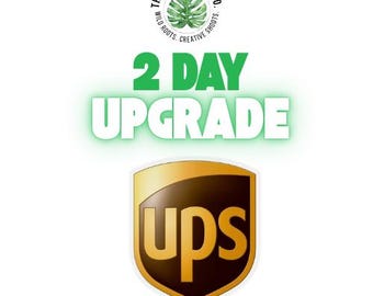 2 day upgrade