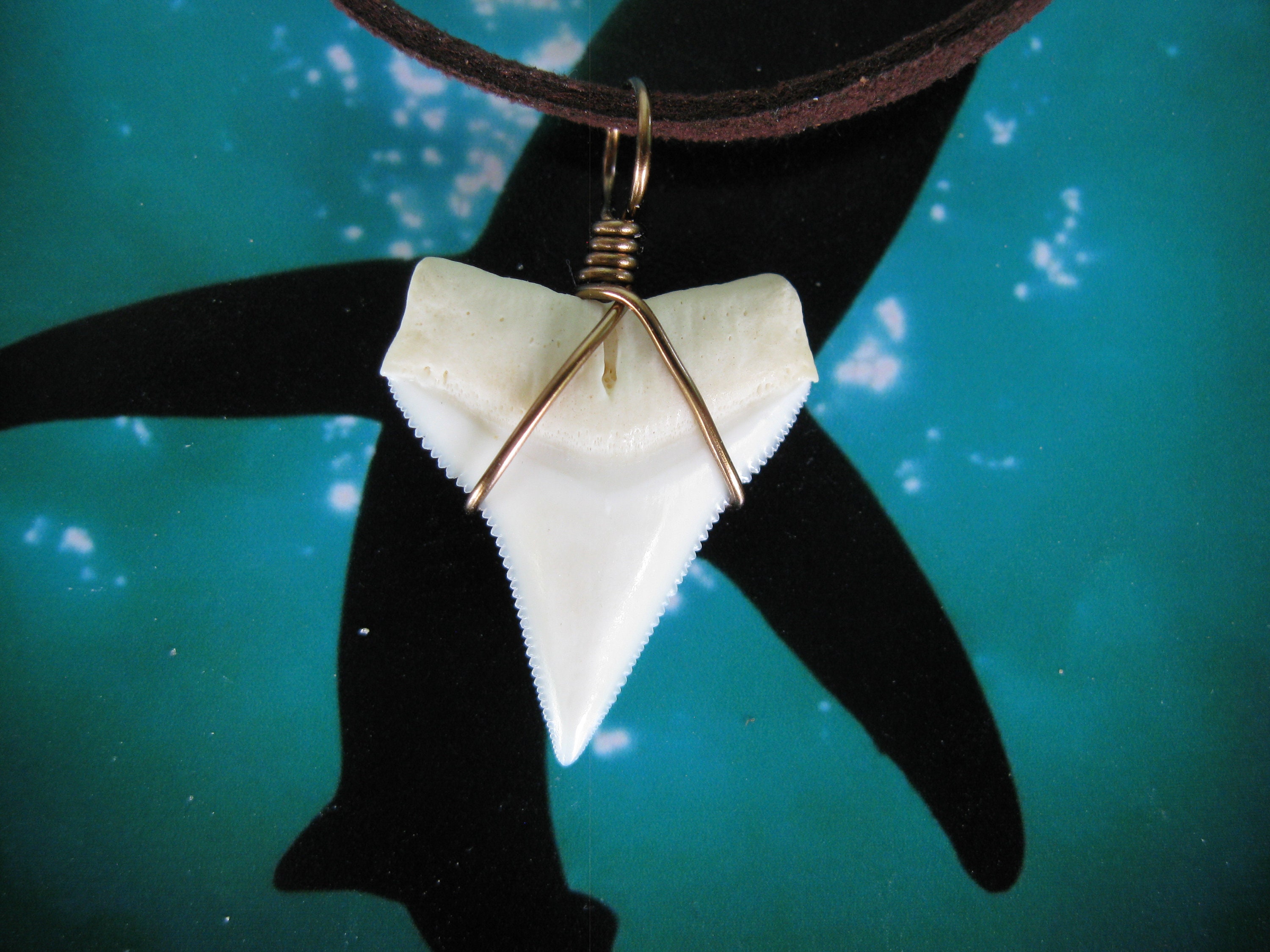 Shark Tooth Necklace Real Shark Tooth Bronze Wire Wrapped 20