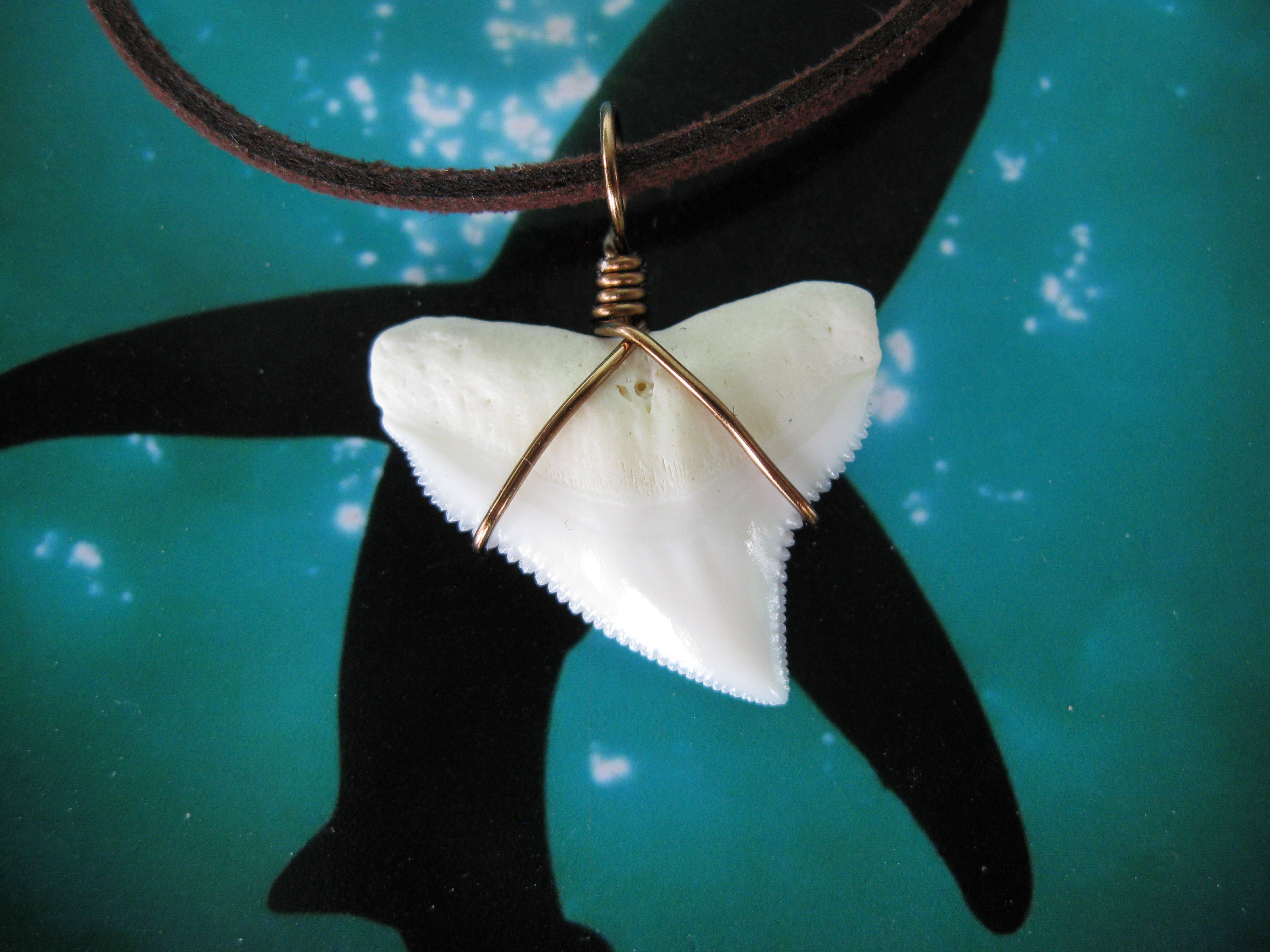 Collar diente de tiburón diente de tiburón toro real de Lg. Etsy