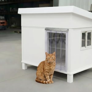 Puede incluir: Una caseta blanca para gatos con techo inclinado, ventana y puerta de plástico transparente. Un gato atigrado naranja está sentado frente a la casa. La caseta está elevada sobre patas blancas cortas.