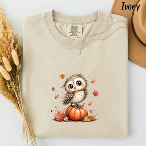 May include: An ivory t-shirt featuring a graphic of a small, fluffy owl perched on a round orange pumpkin, surrounded by scattered autumn leaves. The shirt has a crew neckline and a Comfort Colors brand label printed on the inside of the collar.