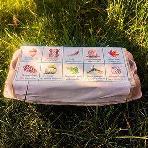 May include: A cardboard egg carton with a printed label featuring illustrations of natural elements like an acorn, feather, and leaf. The carton is set on a bed of green grass, suggesting an outdoor theme.