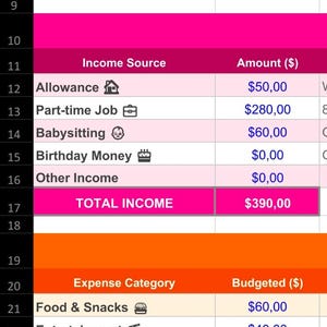 This is a teen budget tracker to track allowance use