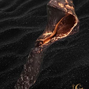 Knobbed Whelk Altar Shell with Gold Leaf Hand Sourced for Hekate Rituals and Ocean Magic