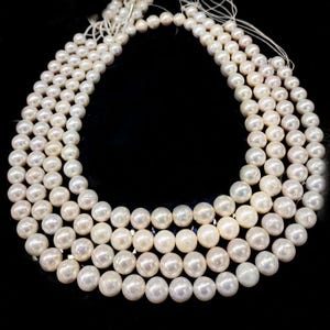 Puede incluir: Varias hebras de perlas blancas y redondas, brillantes, se muestran sobre un fondo negro. Las perlas están ensartadas, mostrando su forma esférica lisa y su brillo iridiscente. La imagen resalta la belleza natural y la elegancia de las perlas.