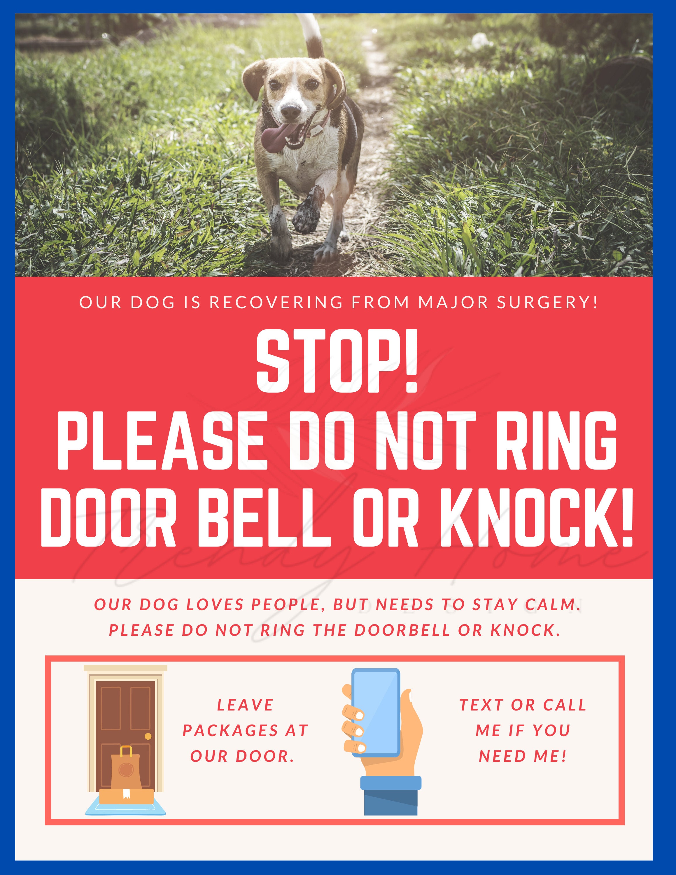 How Do I Keep My Dog Calm When The Doorbell Rings