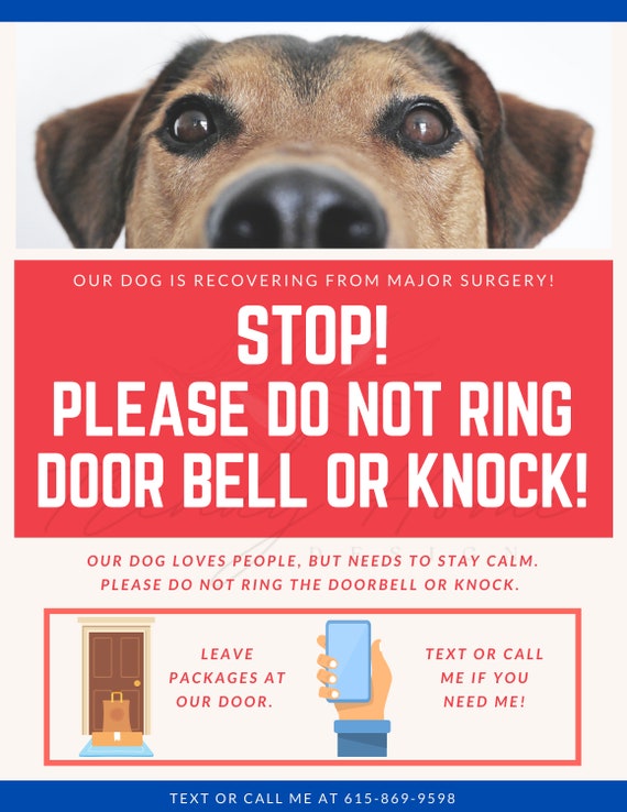 How Do I Keep My Dog Calm When The Doorbell Rings