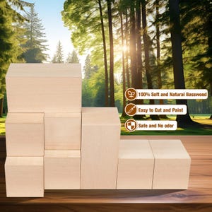 Carving Blocks, Large Whittling Wood Blocks Wood Carving Kit with 2 Different Sizes, Bass Wood （5*5cm3pcs，10*2.5cm6pcs）