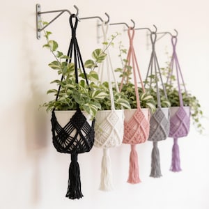 May include: Five macrame plant hangers in black, white, dusty pink, grey, and lavender, each holding a white ribbed pot with a trailing green and white variegated plant. The hangers feature intricate knotted patterns and long bottom tassels.