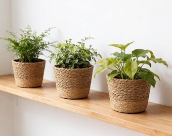 Maceta de ratán tejido, cesta, cubierta de paja estilo boho, decoración natural para interiores.