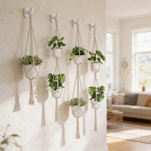 May include: Several macrame plant hangers with white ceramic pots, each containing green plants. The hangers are suspended from white hooks on a textured wall, creating a decorative display. The room has a neutral colour palette.