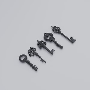 Può includere: Un set di quattro chiavi in metallo nero con teste decorative ornate e diversi motivi di dentatura. Ogni chiave presenta un design unico di ispirazione vintage con dettagli complessi di volute e filigrana sulla parte superiore.