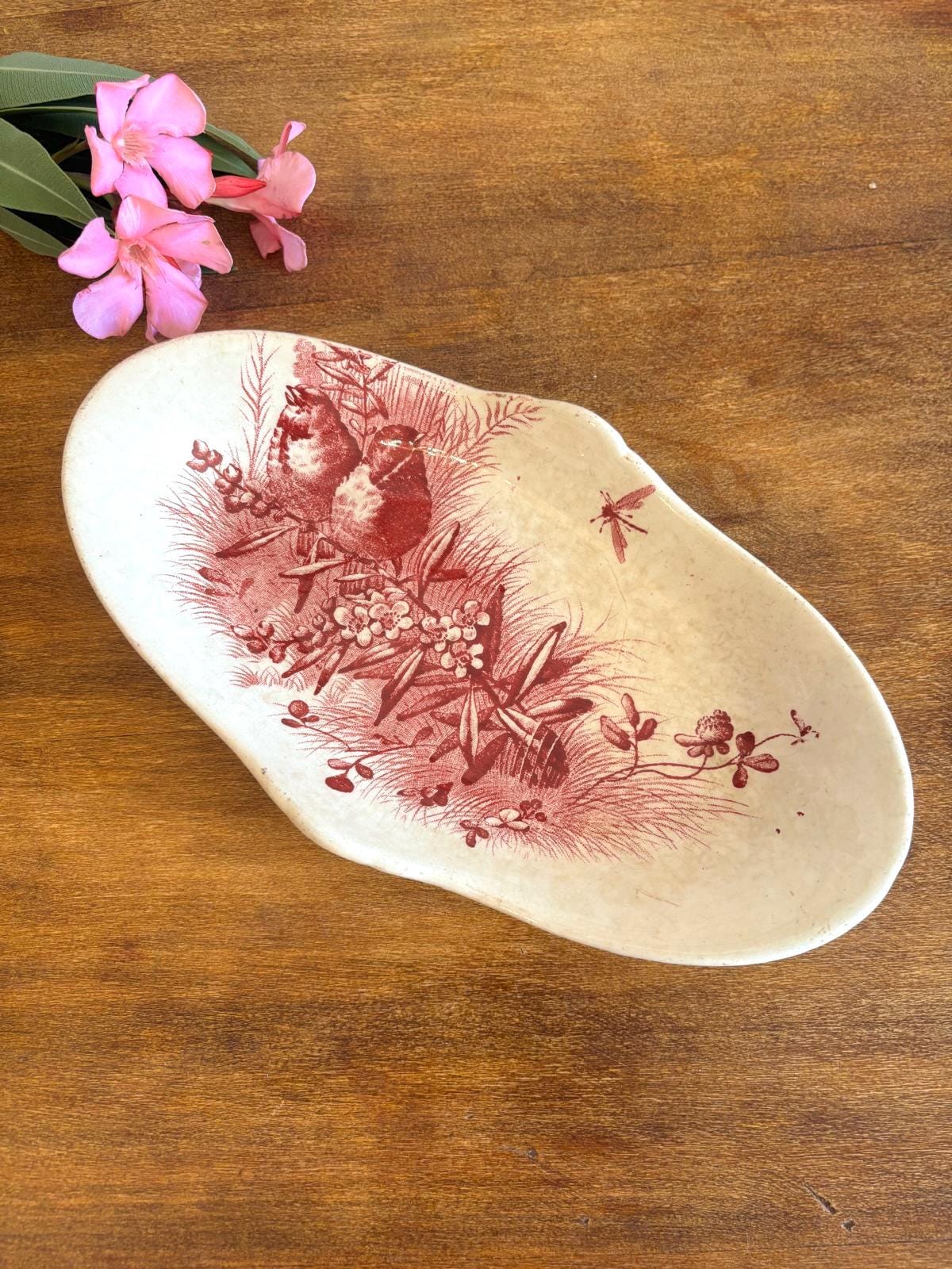 Jules Vieillard Bordeaux Oiseaux Plates - Etsy