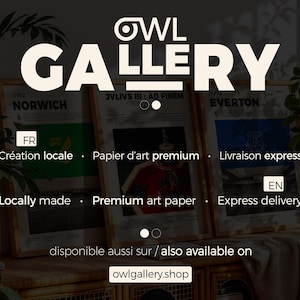 May include: The Owl Gallery logo above framed art prints. The prints feature text and graphics, including the words "NORWICH" and "EVERTON." The text "Locally made" and "Premium art paper" are also visible. The website owlgallery.shop is displayed.