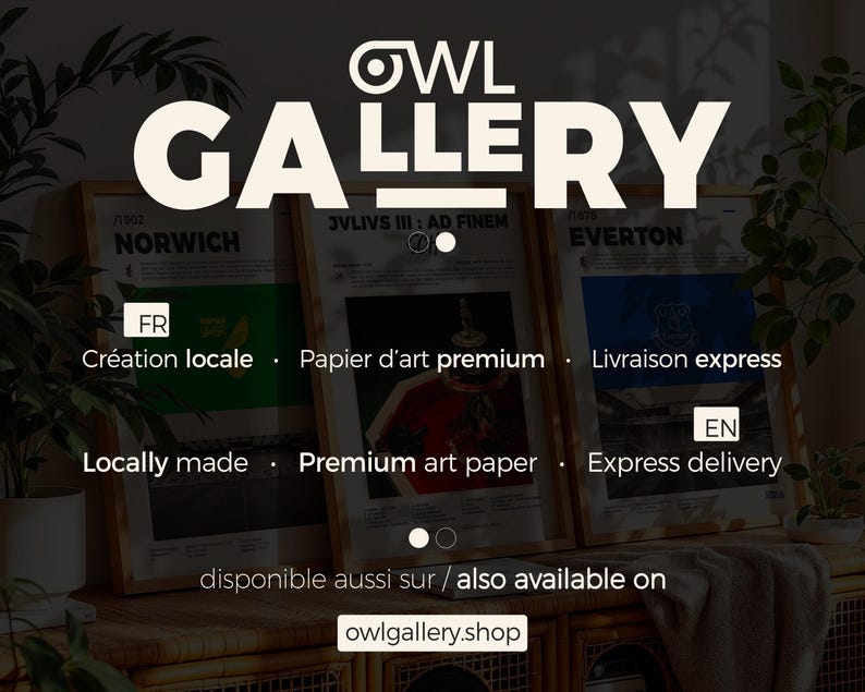 May include: The Owl Gallery logo above framed art prints. The prints feature text and graphics, including the words "NORWICH" and "EVERTON." The text "Locally made" and "Premium art paper" are also visible. The website owlgallery.shop is displayed.