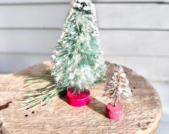 Antique Snowy Bottlebrush Trees