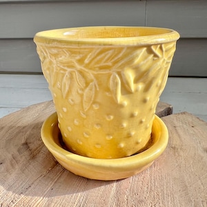 Pode incluir: Um vaso de cerâmica amarelo com um pires a condizer. O vaso tem uma superfície texturizada com padrões de folhas e pontos. Projetado para plantas e flores.