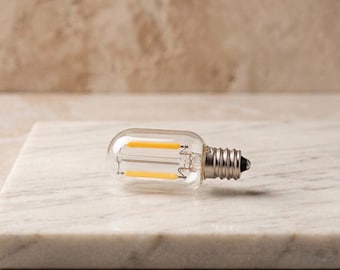T22 E12 LED-Ersatzlampen für Lichterketten – Warmweiße Glühlampen, 1 W, Ersatzlampen für dekorative Lichterketten, Vintage