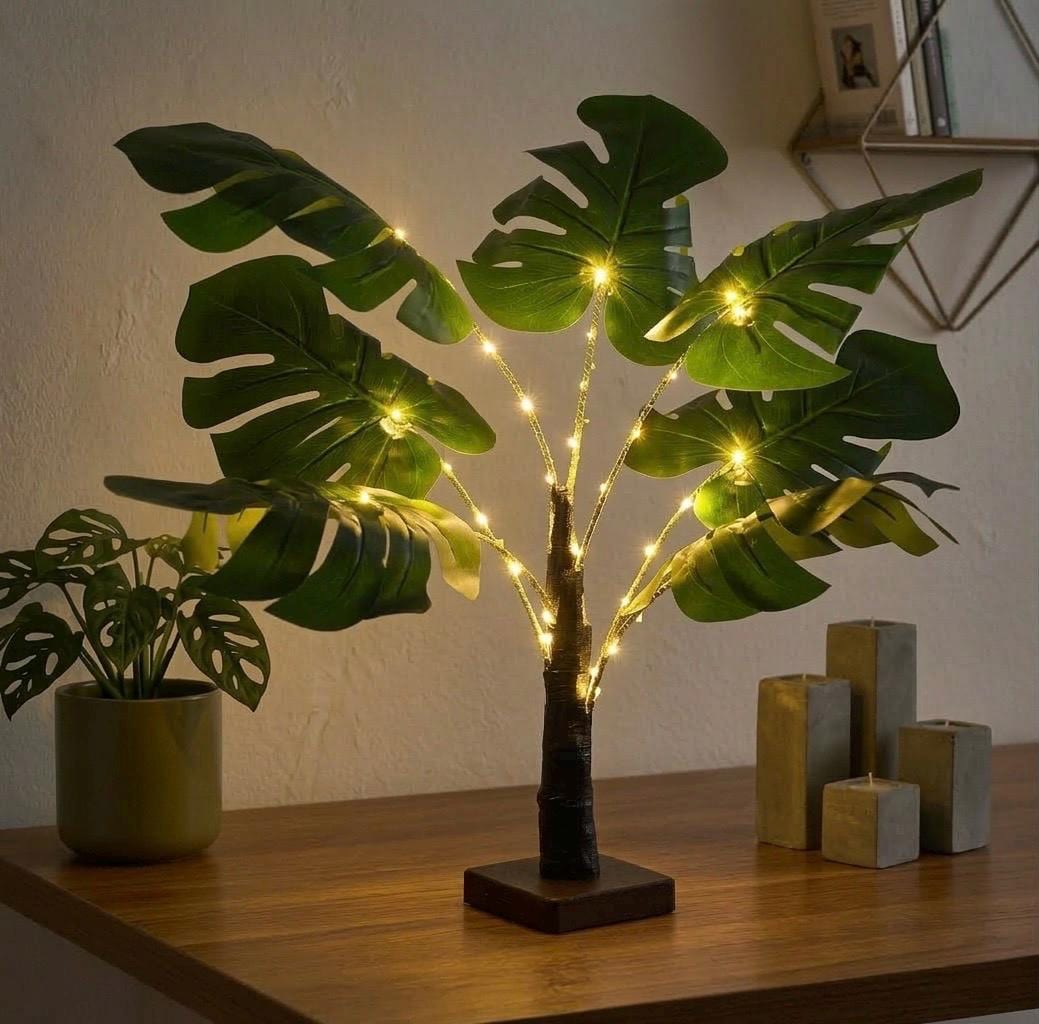 philodendron mcdowell kaufen Philodendron 'McDowell' - Rare McDowell Philodendron