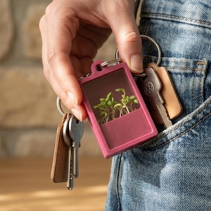 Tiny Pocket Garden – Jouw Draagbare Moment van Rust (DIY Kit)