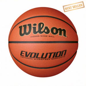 Wilson Evolution 29.5 Official Size Indoor Outdoor Composite Leather Training High Grip
