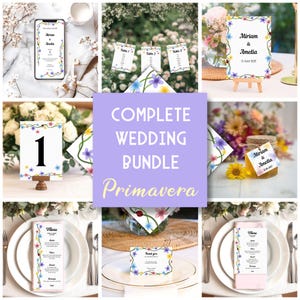 Puede incluir: Un conjunto de papelería de boda con un motivo de enredadera floral, flores coloridas y mariquitas. Incluye una invitación digital, números de mesa, planos de asientos, menús, etiquetas de recuerdo y tarjetas de agradecimiento.