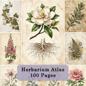 Könnte beinhalten: Eine Sammlung botanischer Illustrationen auf gealtertem Papier, die verschiedene Pflanzen und Blumen zeigt. Die Bilder umfassen eine Magnolie, Stockrosen und Farne. Der Text "Herbarium Atlas 100 Pages" ist auf einem lila Banner zu sehen.