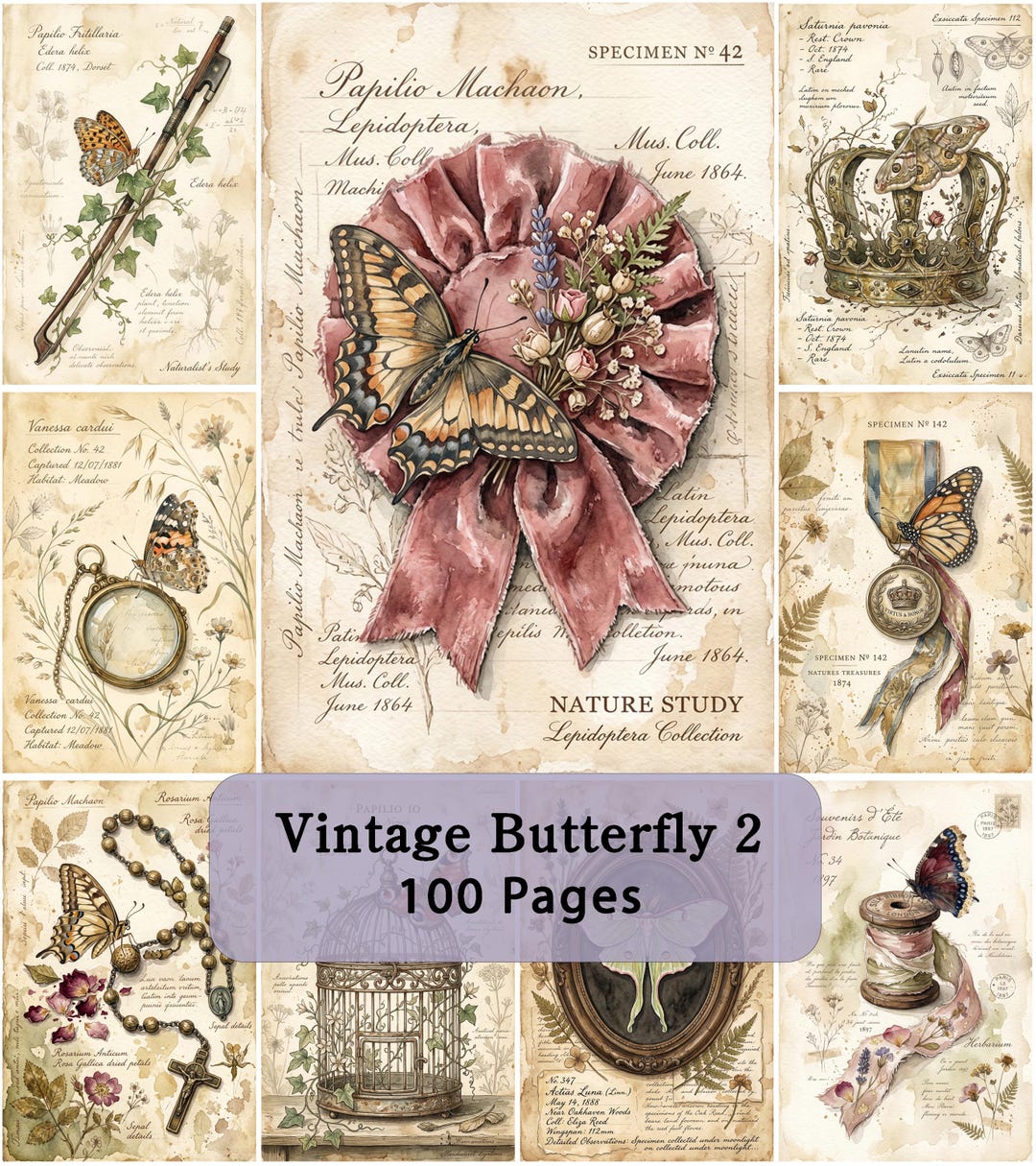 Vintage Butterfly Junk Journal Pages, Antique Nature Study Printable ...