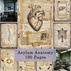Op de afbeelding: Een verzameling medische documenten en anatomische illustraties in vintage-stijl getiteld Asylum Anatomy 100 Pages. De pagina's bevatten verouderd papier, handgeschreven notities en zwart-wit tekeningen van een menselijk hart, ruggengraat, ribbenkast, oog en longen.