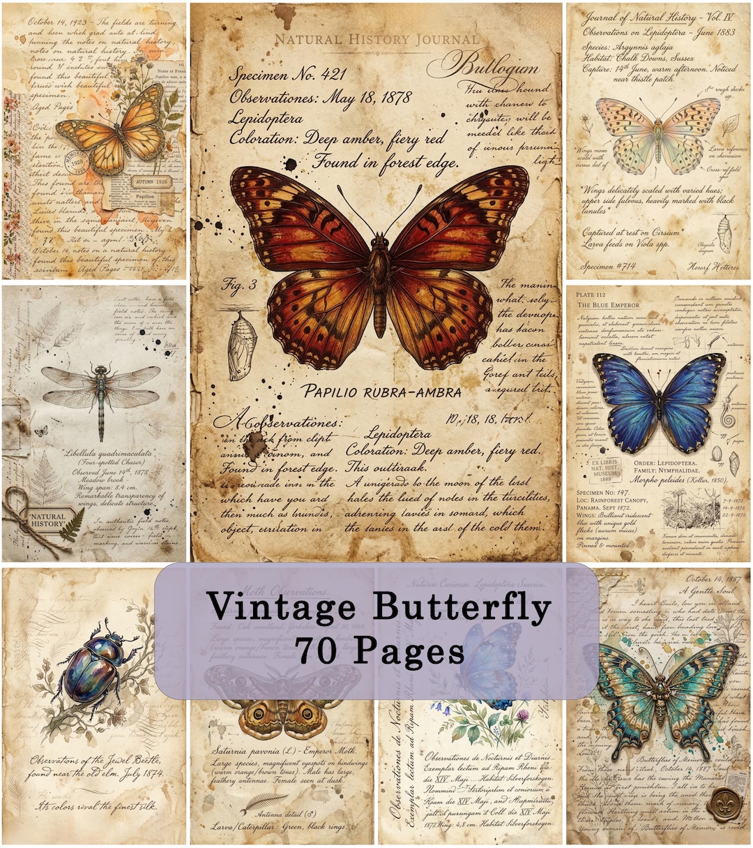 Vintage Butterfly Junk Journal Pages – 70 Natural History Papers ...