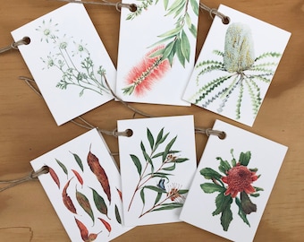 Gift cards with mixed botanical illustrations