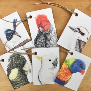 Gift tags with mixed Australian bird illustrations