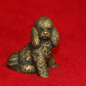 barboncino - statuetta in bronzo massiccio fuso - cane