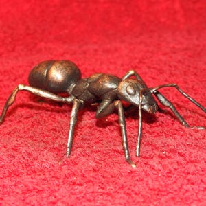 May include: A metallic ant figurine with a dark bronze finish, featuring a segmented body, six thin legs, and two antennae. The sculpture displays a realistic anatomical structure with a rounded abdomen, a narrow thorax, and a distinct head.