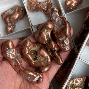 May include: A collection of raw copper nuggets with a reddish-brown metallic sheen. Some nuggets are held in a hand, while others are arranged in small white boxes. The copper pieces have irregular shapes and some show patches of green and white oxidation.