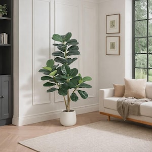 May include: A tall, leafy green plant in a white pot stands in a bright, modern living room. The room features a white sofa with beige pillows, a light-colored rug, and framed artwork. The plant's large leaves provide a natural accent.
