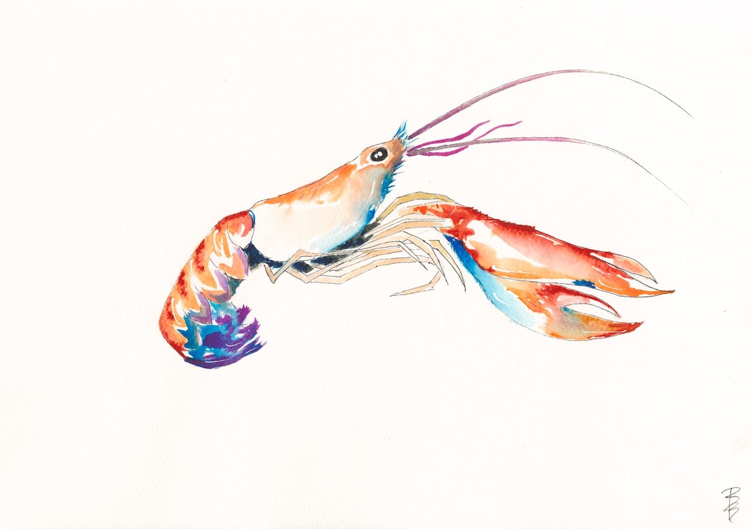 Crawfish Watercolor Print – Crawfish Art (archival Paper/canvas) - Etsy