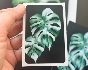 Monstera Albo Variegata Vinyl Plant Sticker, Plant Lovers Sticker, Plant Witch Decor, Water Bottle Stickers, Cottage Core Aesthetics