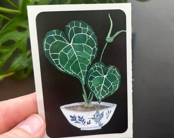 Anthurium Clarinervium Vinyl Plant Sticker, Plant Lovers Sticker, Plant Witch Decor, Water Bottle Stickers, Cottage Core Aesthetics